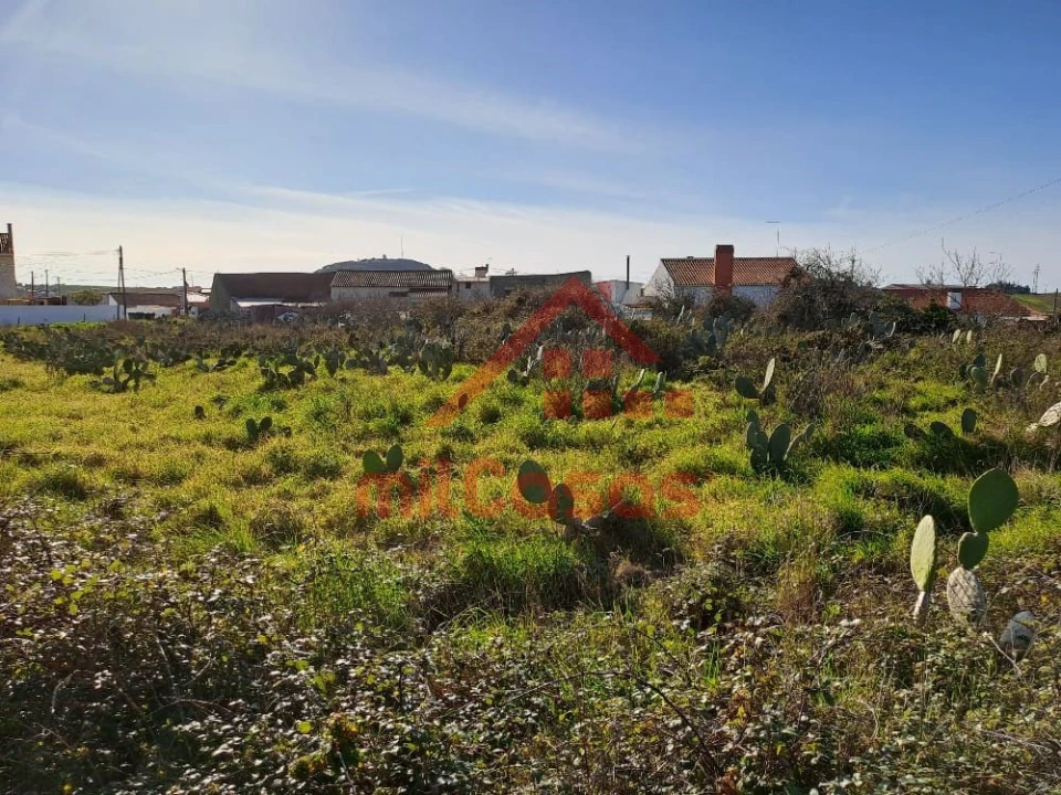 Terreno para Venda em Freiria Foto 18