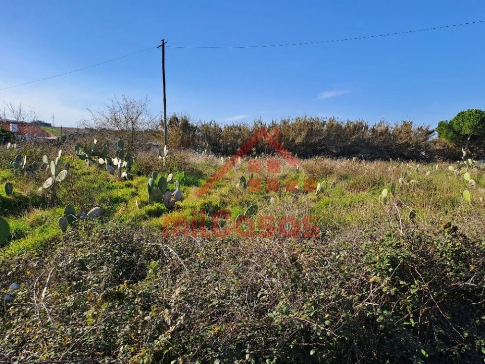 Terreno para Venda em Freiria Foto 19