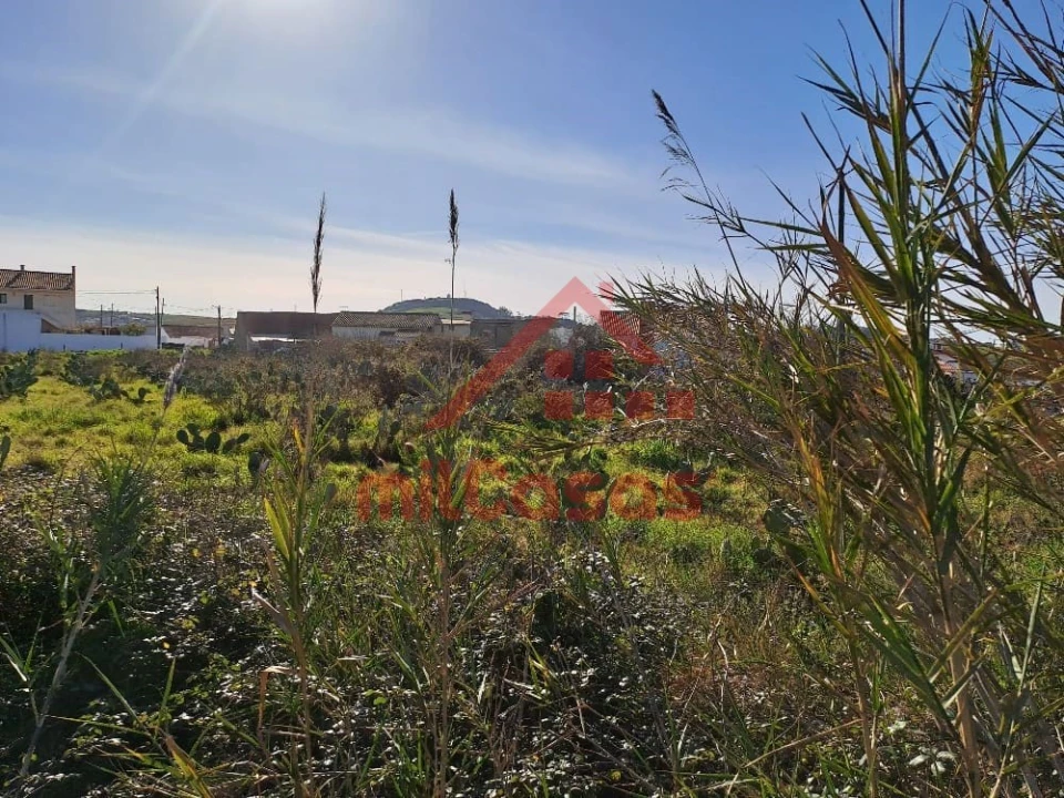 Terreno para Venda em Freiria Foto 21