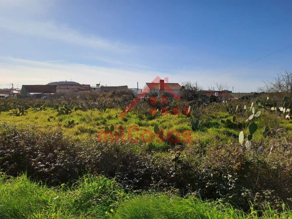 Terreno para Venda em Freiria Foto 24