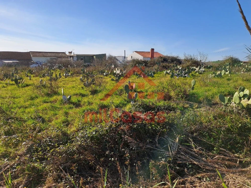 Terreno para Venda em Freiria Foto 26