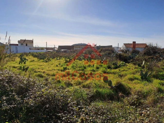 Terreno para Venda em Freiria Foto 1