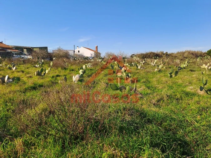 Terreno para Venda em Freiria Foto 2