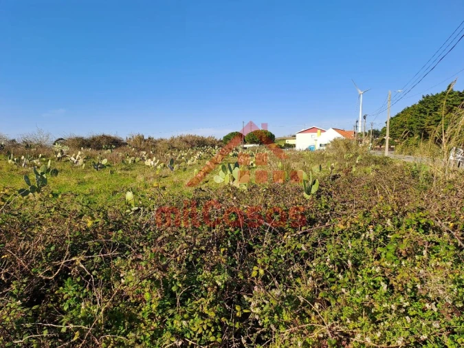 Terreno para Venda em Freiria Foto 3