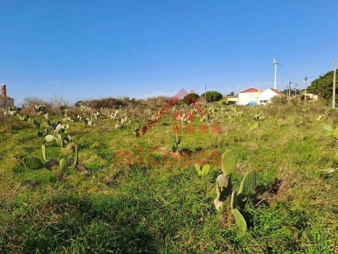Terreno para Venda em Freiria Foto 5