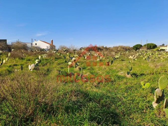 Terreno para Venda em Freiria Foto 6