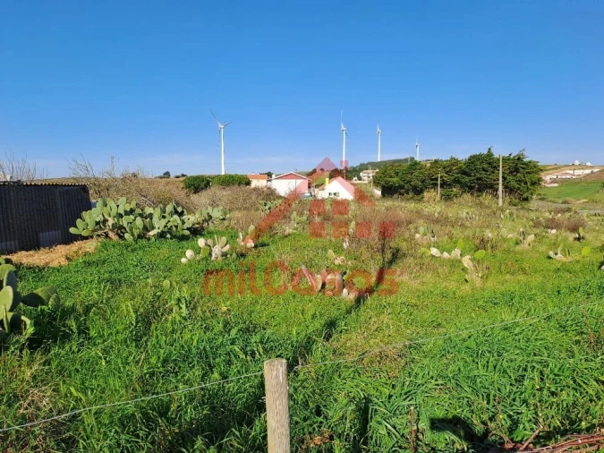 Terreno para Venda em Freiria Foto 8