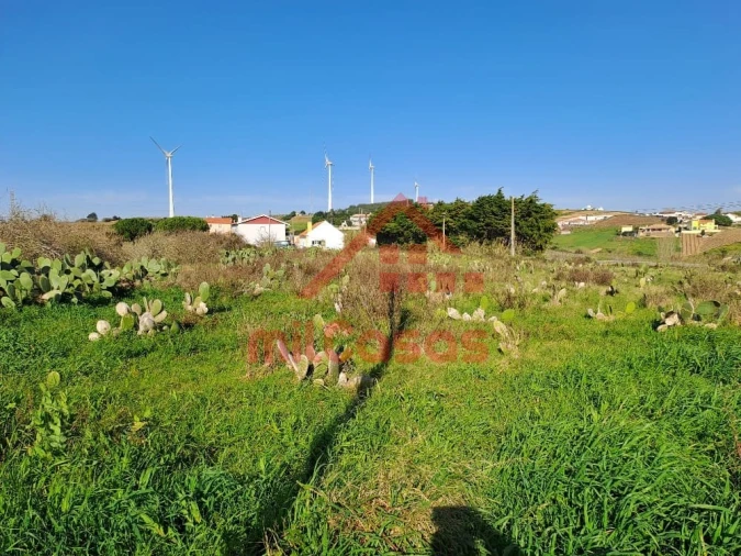 Terreno para Venda em Freiria Foto 9