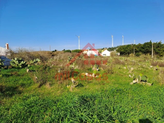 Terreno para Venda em Freiria Foto 10