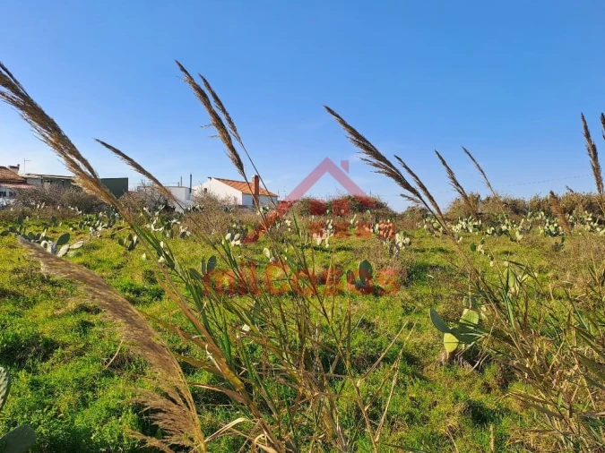 Terreno para Venda em Freiria Foto 11