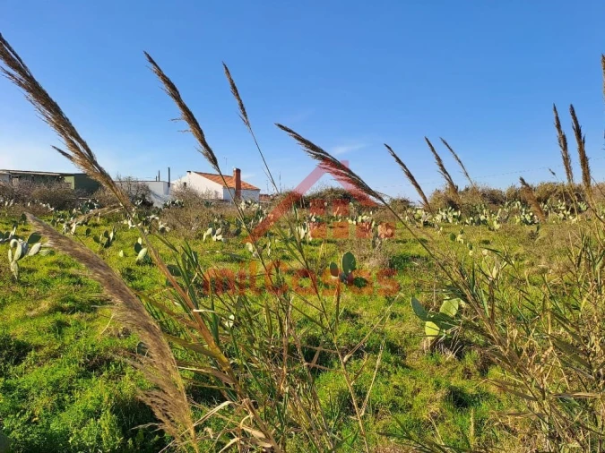 Terreno para Venda em Freiria Foto 12