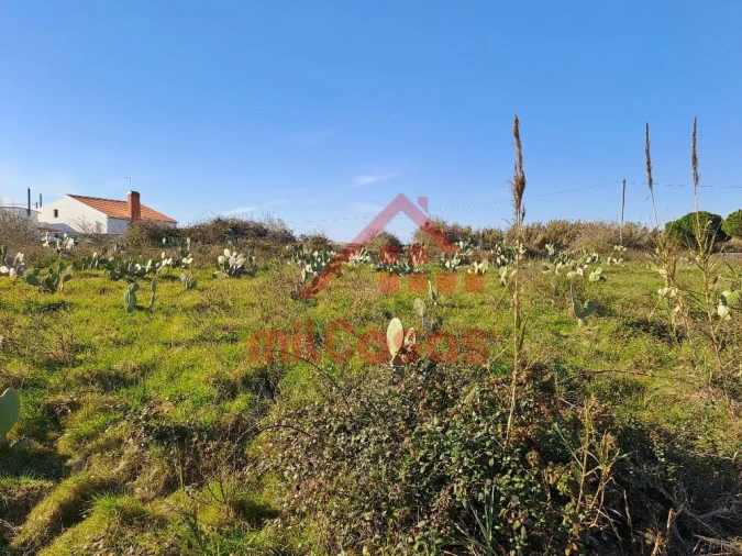 Terreno para Venda em Freiria Foto 13