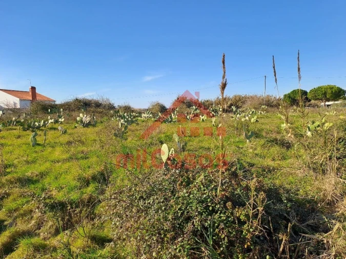 Terreno para Venda em Freiria Foto 14