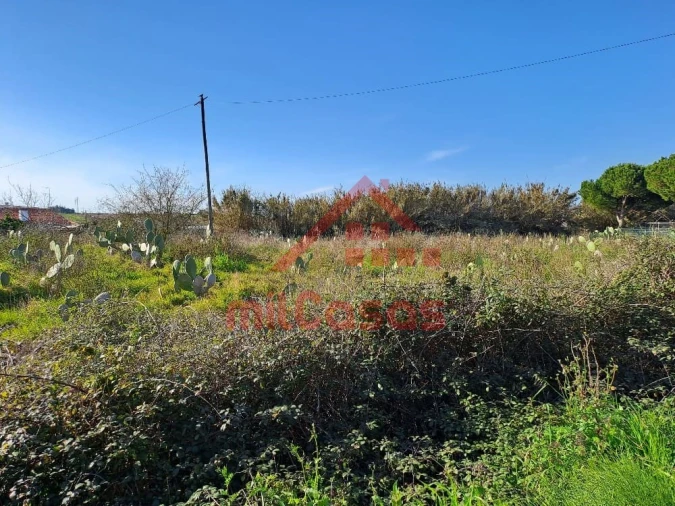 Terreno para Venda em Freiria Foto 15