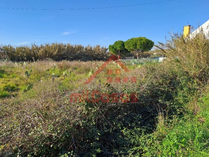 Terreno para Venda em Freiria Foto 20