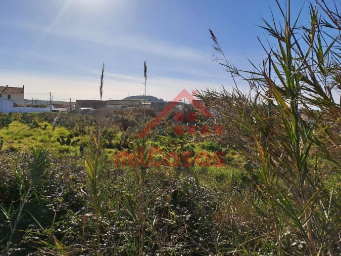 Terreno para Venda em Freiria Foto 21