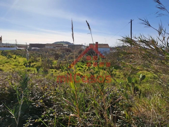 Terreno para Venda em Freiria Foto 22