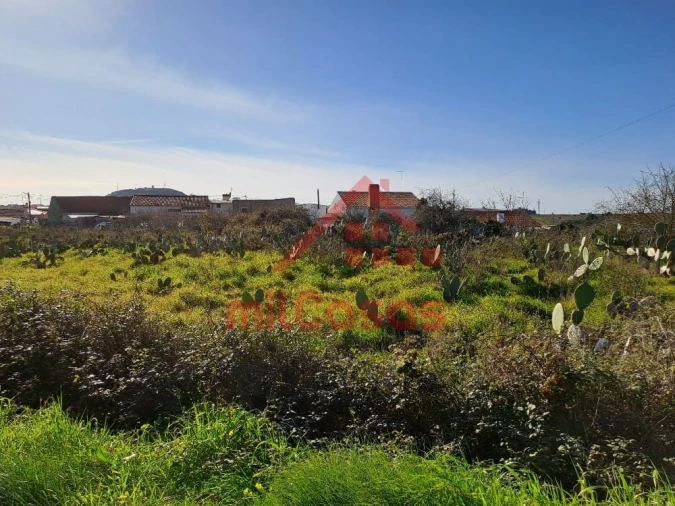 Terreno para Venda em Freiria Foto 24
