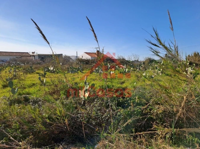 Terreno para Venda em Freiria Foto 25