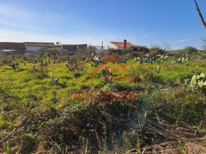 Terreno para Venda em Freiria Foto 26