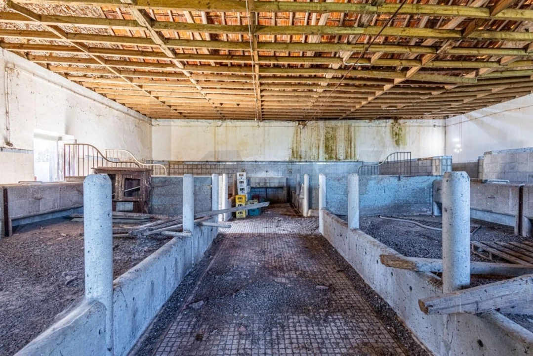 Moradia T5 para Venda em Achete, Azoia de Baixo e Póvoa de Santarém Foto 67