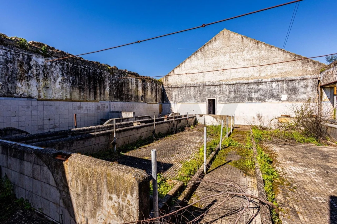 Moradia T5 para Venda em Achete, Azoia de Baixo e Póvoa de Santarém Foto 68