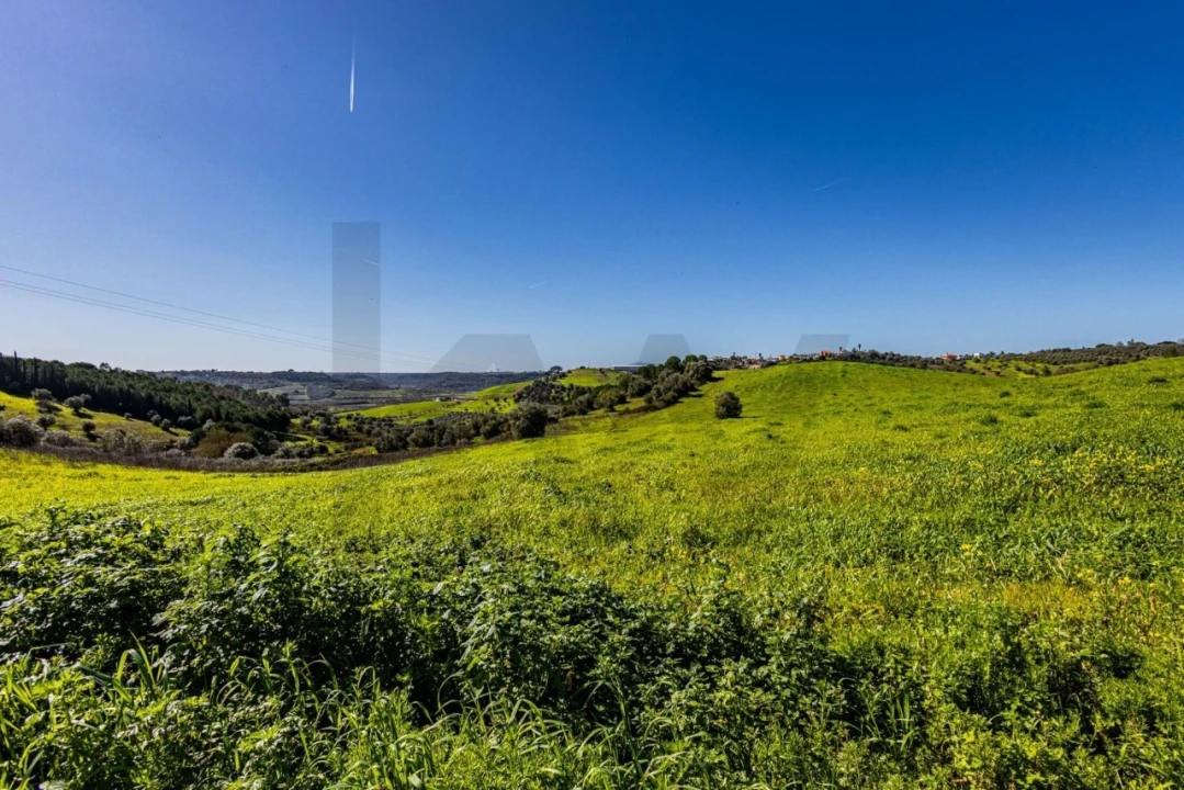 Moradia T5 para Venda em Achete, Azoia de Baixo e Póvoa de Santarém Foto 73