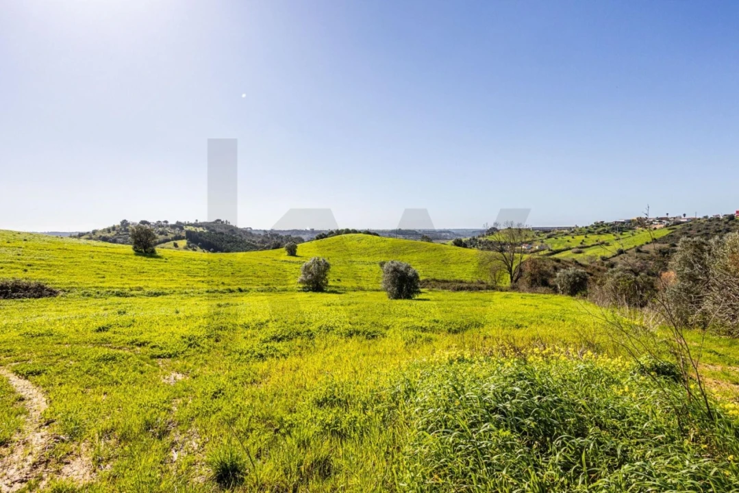 Moradia T5 para Venda em Achete, Azoia de Baixo e Póvoa de Santarém Foto 96