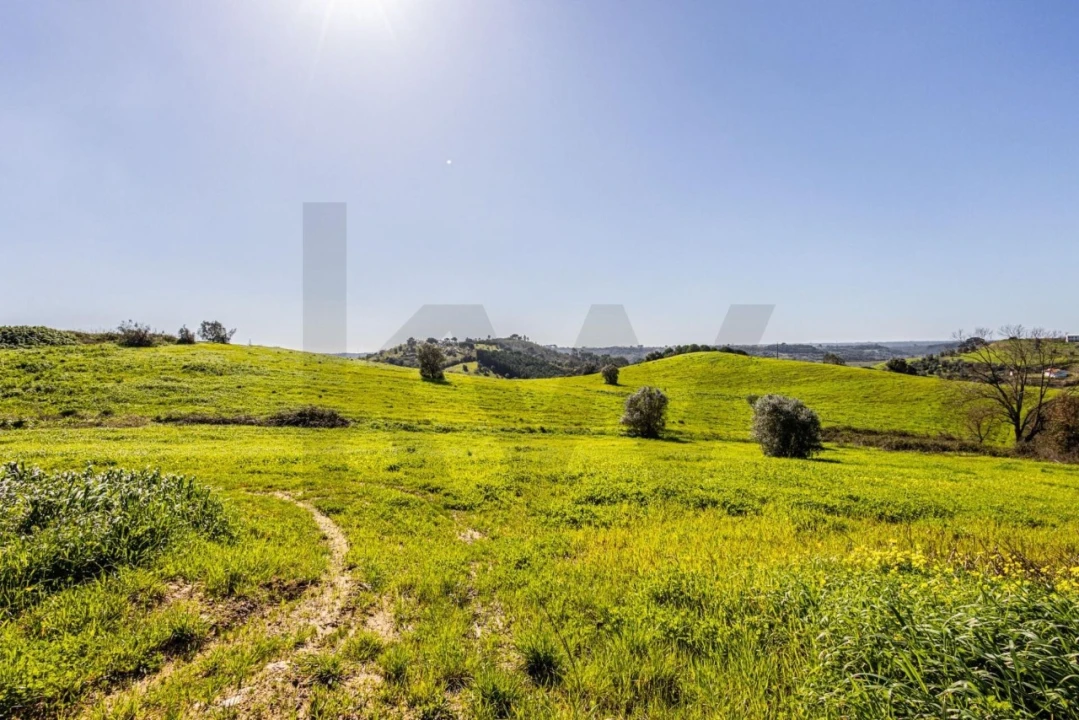 Moradia T5 para Venda em Achete, Azoia de Baixo e Póvoa de Santarém Foto 97