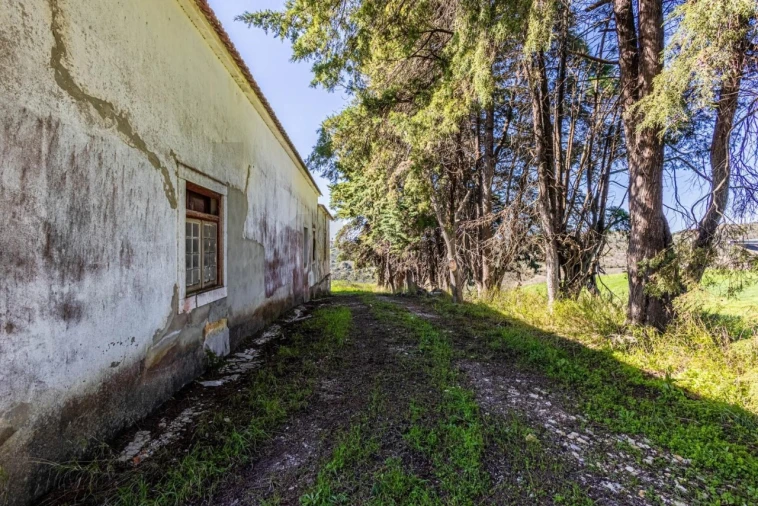 Moradia T5 para Venda em Achete, Azoia de Baixo e Póvoa de Santarém Foto 10