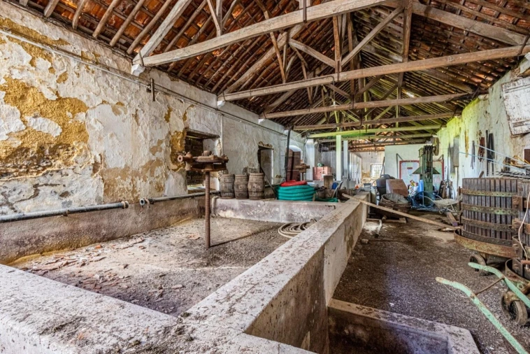 Moradia T5 para Venda em Achete, Azoia de Baixo e Póvoa de Santarém Foto 23