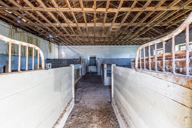 Moradia T5 para Venda em Achete, Azoia de Baixo e Póvoa de Santarém Foto 65