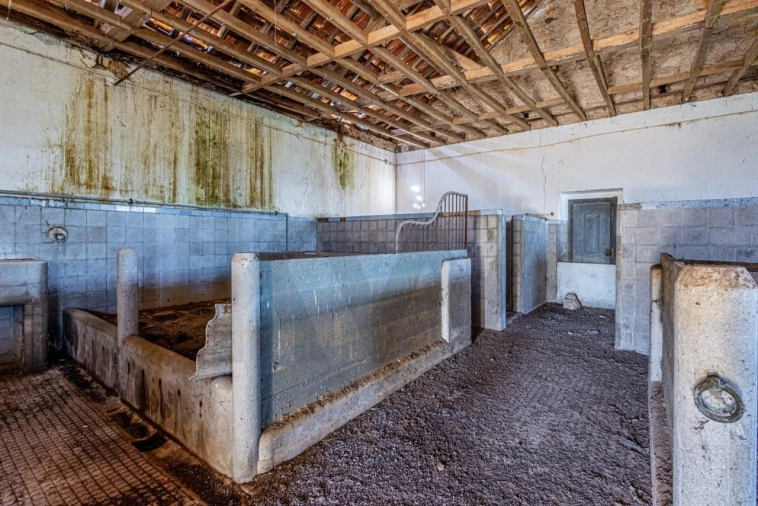 Moradia T5 para Venda em Achete, Azoia de Baixo e Póvoa de Santarém Foto 66