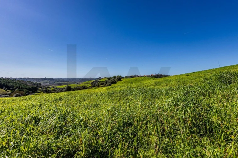 Moradia T5 para Venda em Achete, Azoia de Baixo e Póvoa de Santarém Foto 72