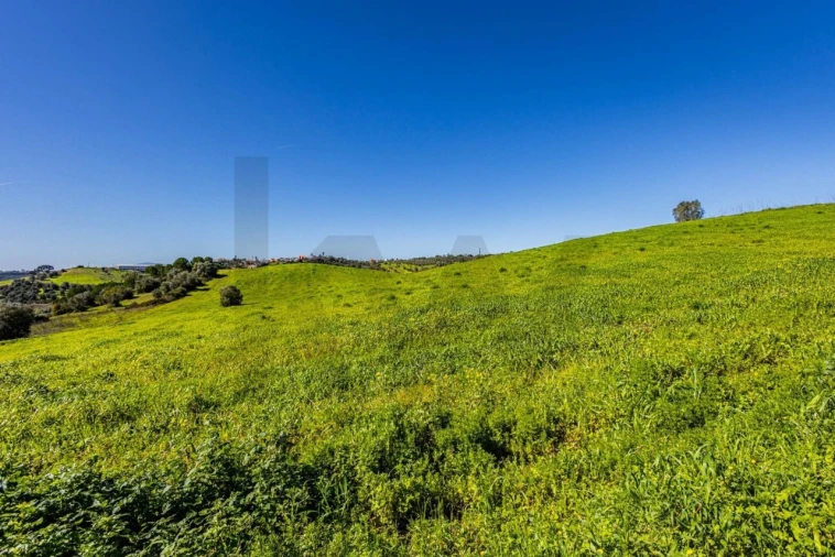 Moradia T5 para Venda em Achete, Azoia de Baixo e Póvoa de Santarém Foto 74