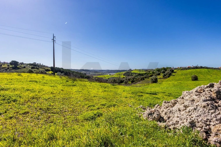 Moradia T5 para Venda em Achete, Azoia de Baixo e Póvoa de Santarém Foto 82