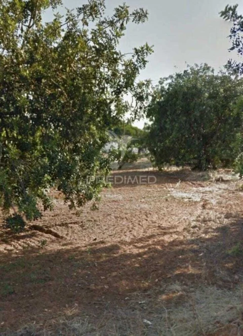 Terreno para Arrendamento em Quarteira