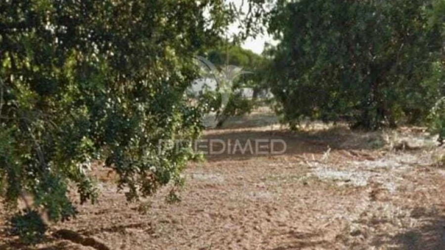 Terreno para Arrendamento em Quarteira