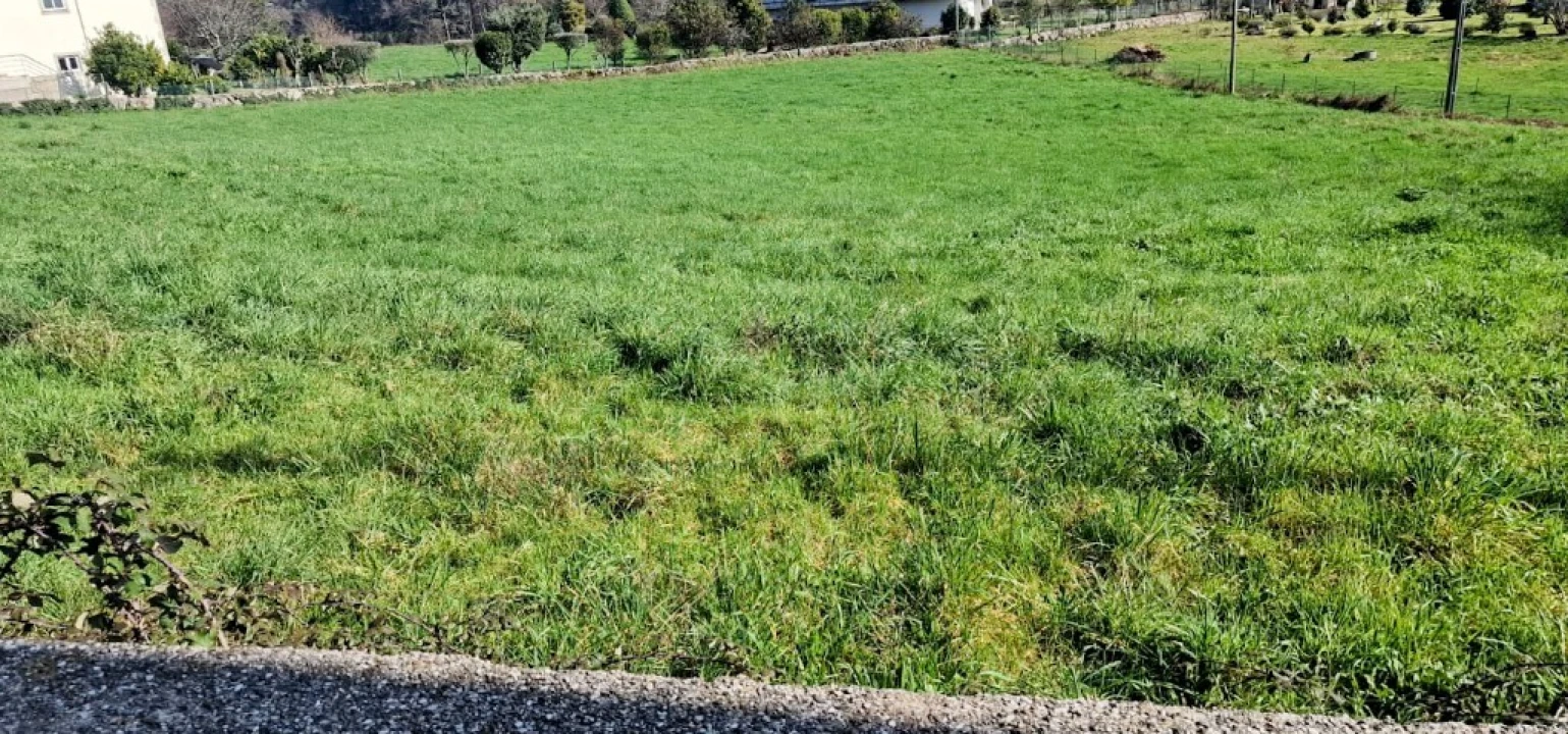 Terreno para Venda em Serzedelo Foto 2