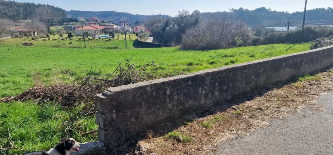 Terreno para Venda em Serzedelo Foto 8