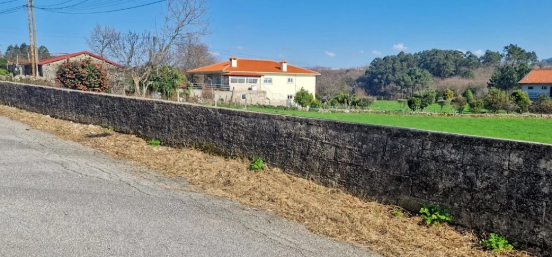 Terreno para Venda em Serzedelo Foto 10