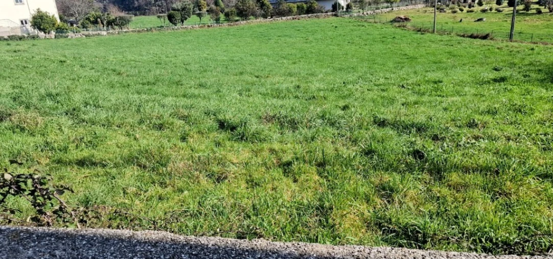 Terreno para Venda em Serzedelo Foto 2