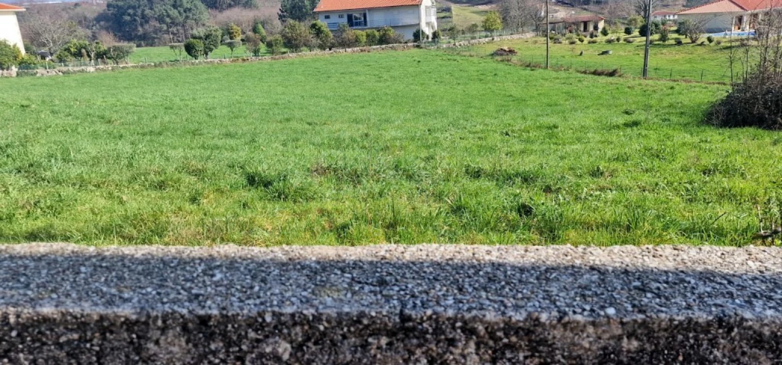 Terreno para Venda em Serzedelo Foto 6