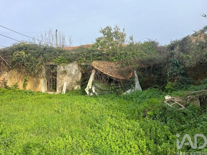 Moradia T3 para Venda em Ovar, São João, Arada e São Vicente de Pereira Jusã Foto 7