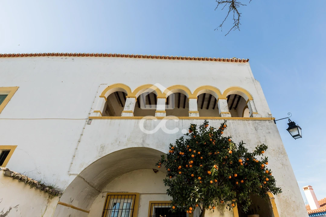 Quinta T3 para Venda em São Bras e São Lourenço Foto 70