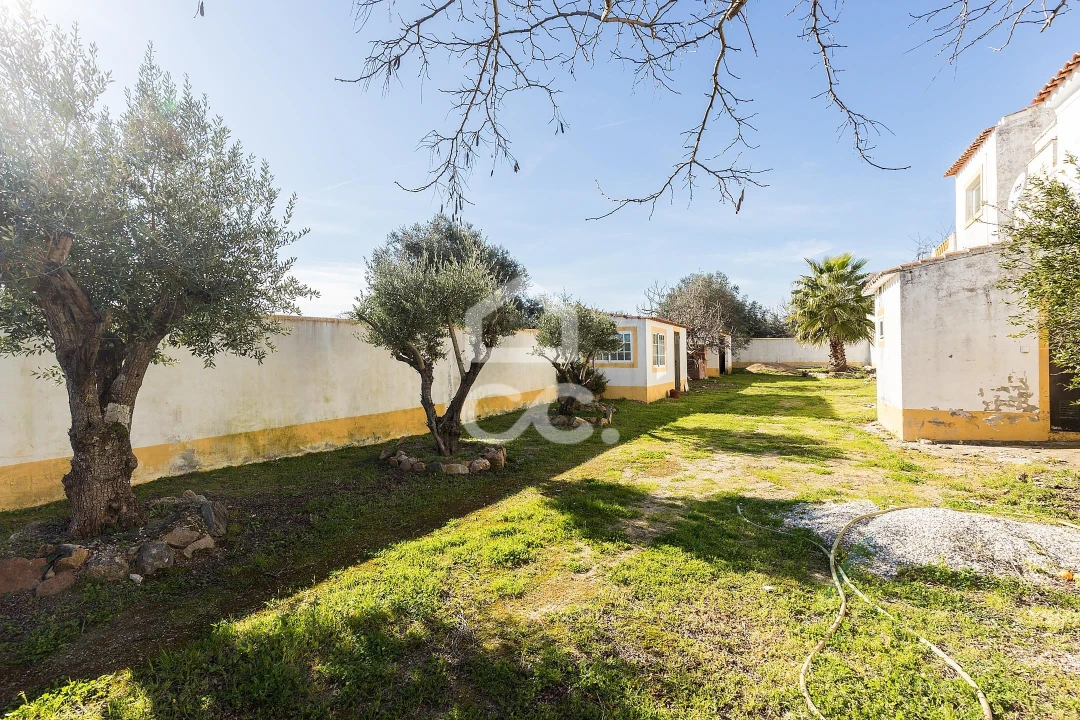 Quinta T3 para Venda em São Bras e São Lourenço Foto 78