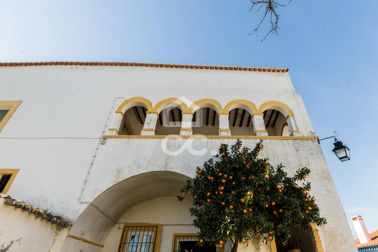 Quinta T3 para Venda em São Bras e São Lourenço Foto 70