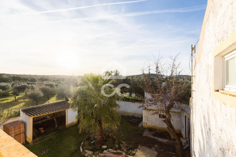 Quinta T3 para Venda em São Bras e São Lourenço Foto 40