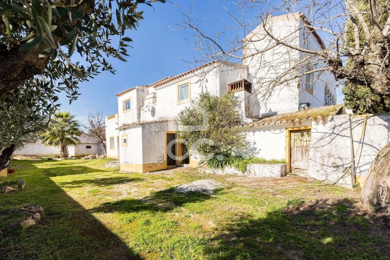 Quinta T3 para Venda em São Bras e São Lourenço Foto 66