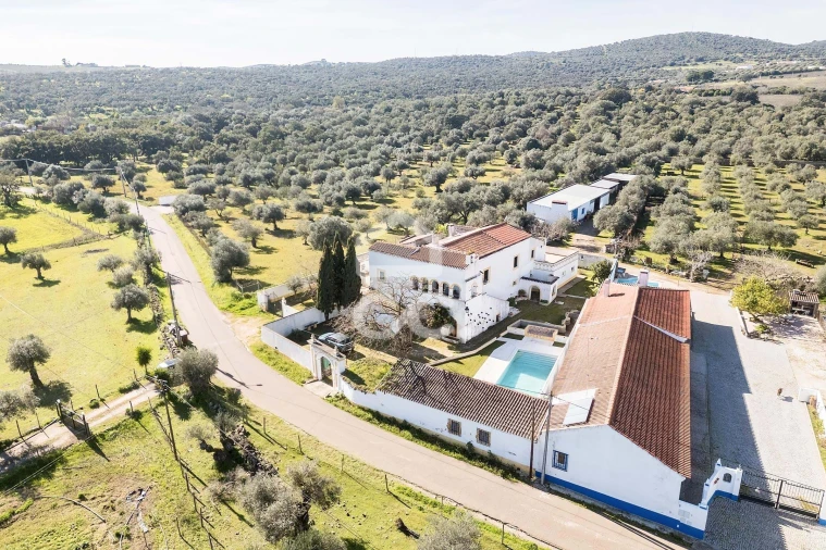 Quinta T3 para Venda em São Bras e São Lourenço Foto 85